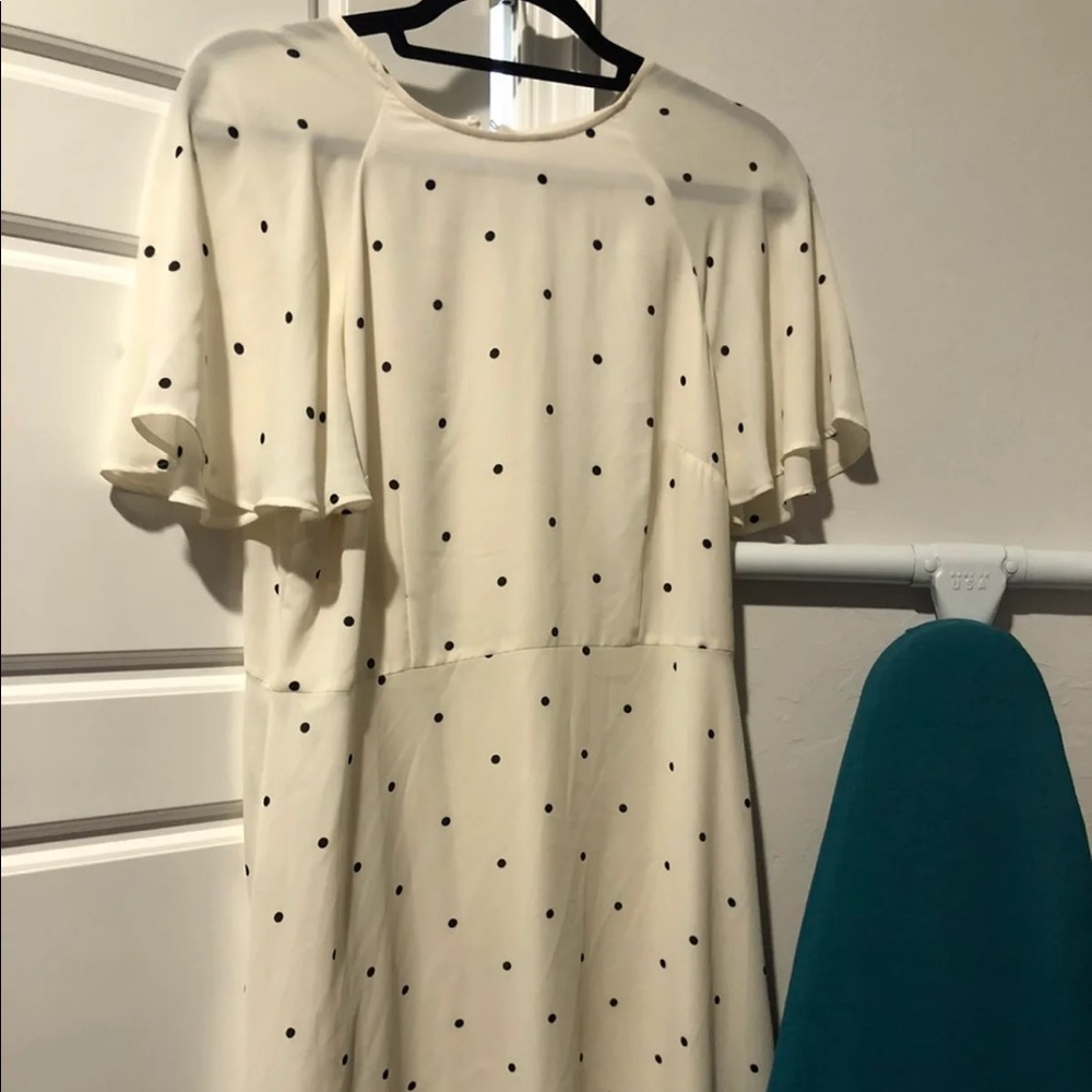 H&M Polka Dot Dress